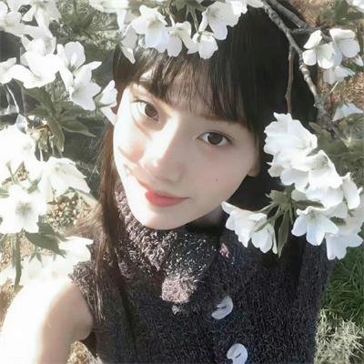 完美星球